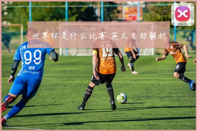 世界杯是什么比赛 英文名称解析