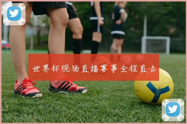 世界杯现场直播赛事全程直击