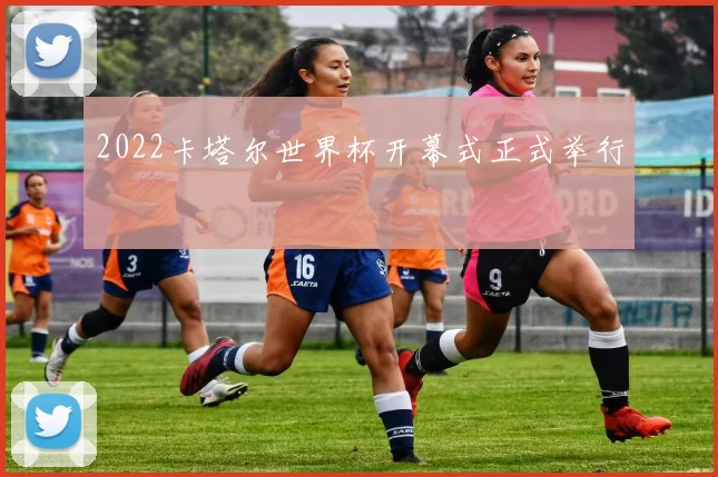 2022卡塔尔世界杯开幕式正式举行