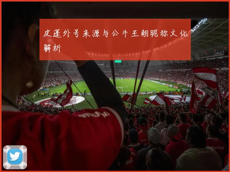皮蓬外号来源与公牛王朝昵称文化解析