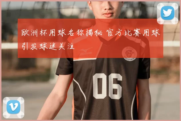 欧洲杯用球名称揭秘 官方比赛用球引发球迷关注
