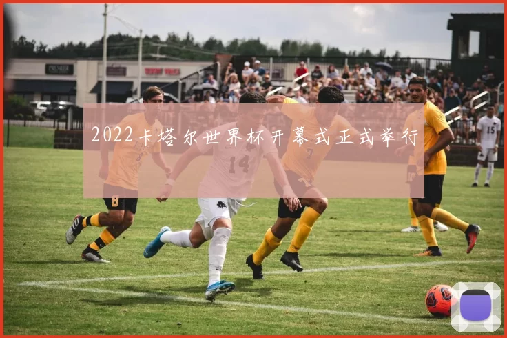 2022卡塔尔世界杯开幕式正式举行