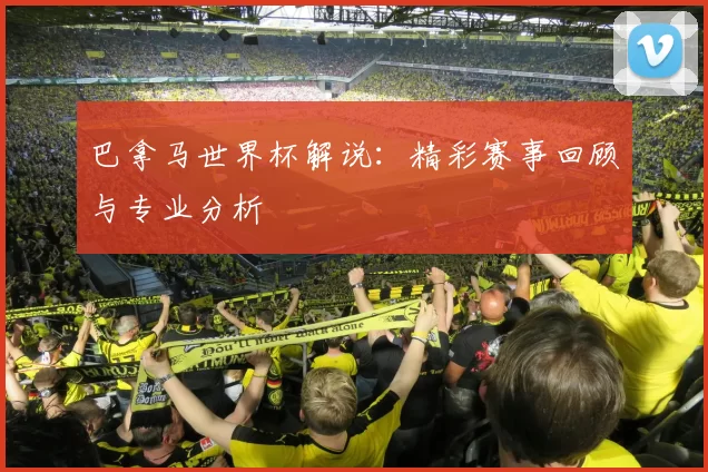 巴拿马世界杯解说：精彩赛事回顾与专业分析