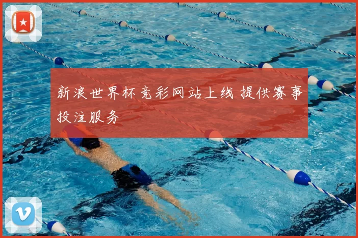 新浪世界杯竞彩网站上线 提供赛事投注服务
