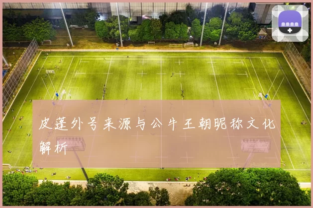 皮蓬外号来源与公牛王朝昵称文化解析