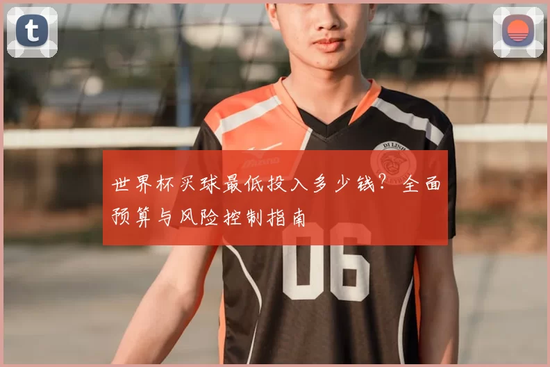 世界杯买球最低投入多少钱?全面预算与风险控制指南