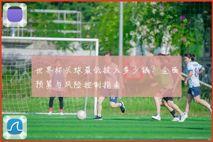 世界杯买球最低投入多少钱?全面预算与风险控制指南