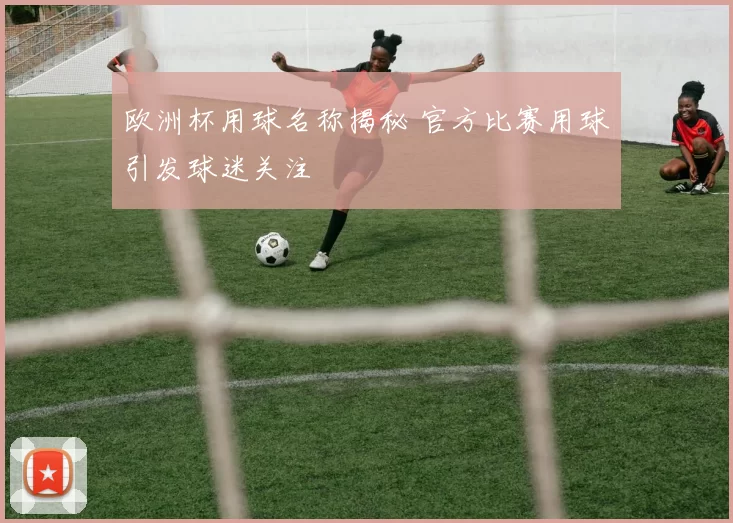 欧洲杯用球名称揭秘 官方比赛用球引发球迷关注