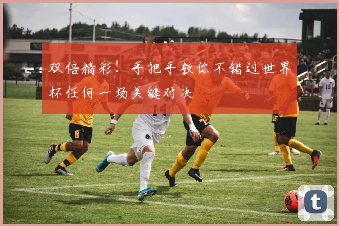 双倍精彩！手把手教你不错过世界杯任何一场关键对决